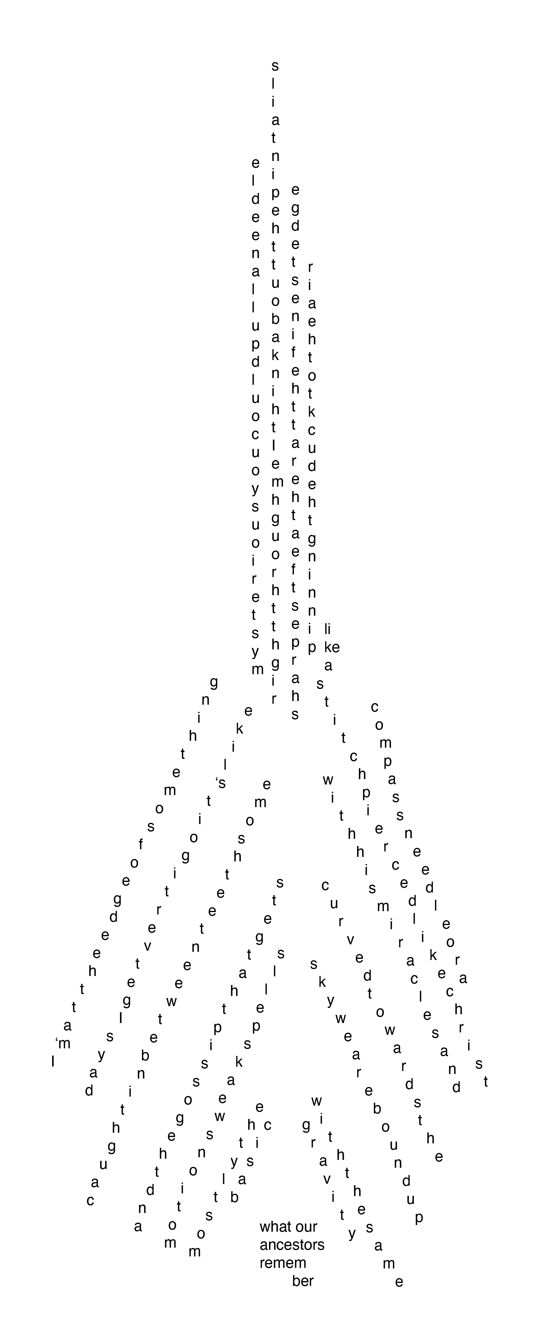 Second Pintail formation