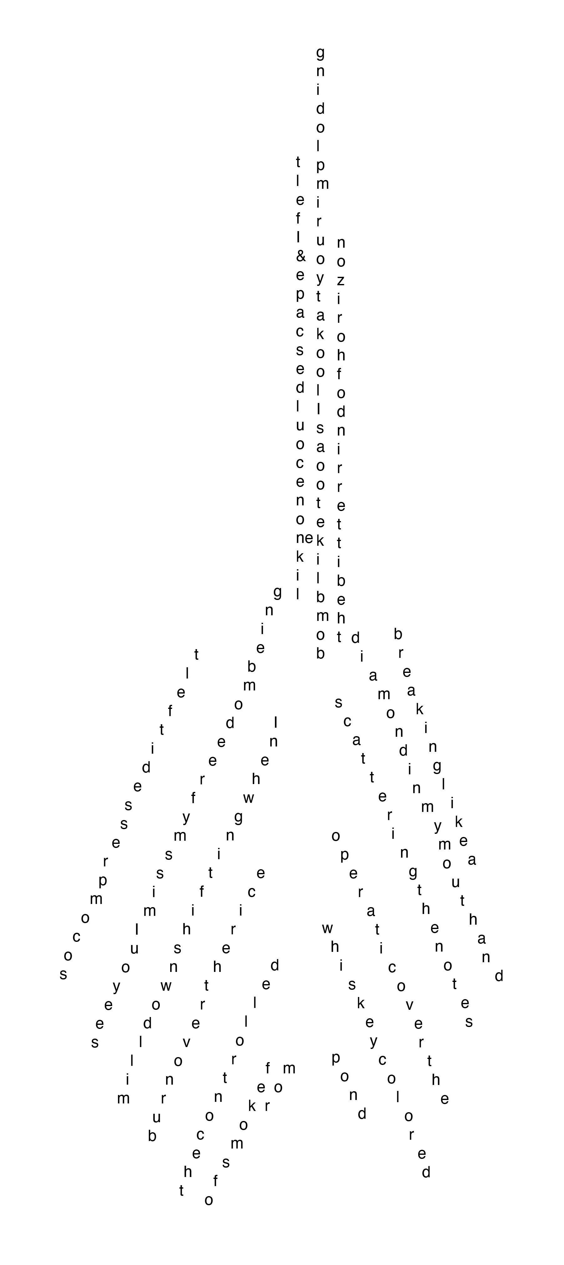 Third Pintail formation